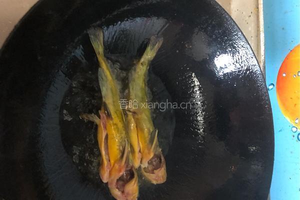 豆腐昂刺鱼的做法图解2