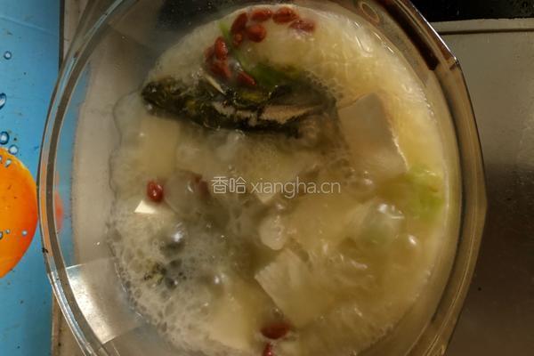 豆腐昂刺鱼的做法图解7