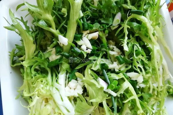 川味凉拌苦菊的做法图解4