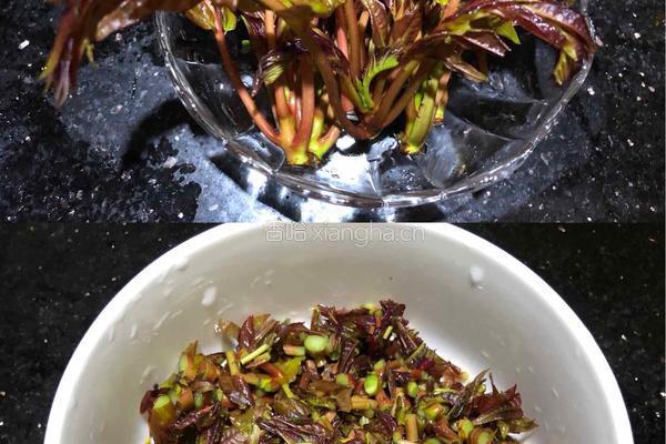 香椿炒鸡蛋的做法图解1