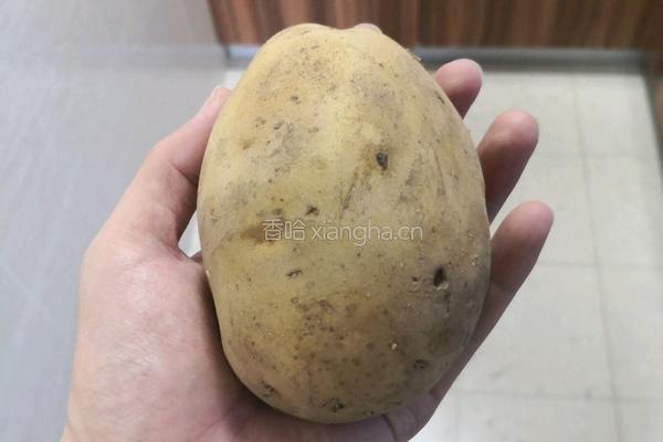 自制土豆泥的做法图解1