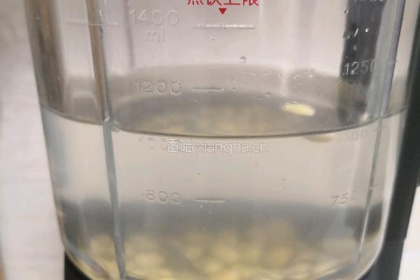自制红豆豆浆的做法图解3