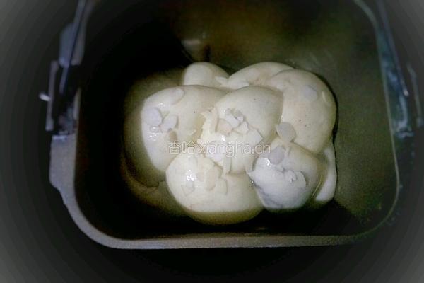 面包机版云石豆沙吐司的做法图解17
