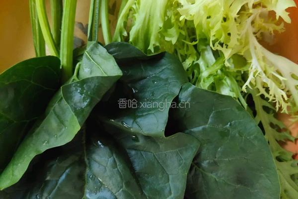 火锅鸡汤面的做法图解2