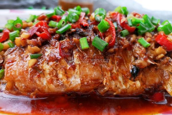 牛肉酱焖鲫鱼的做法图解16