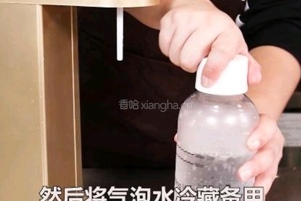 百香凤梨气泡水的做法图解1