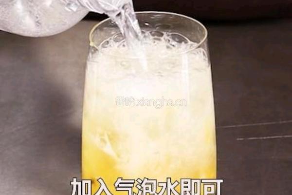 百香凤梨气泡水的做法图解9