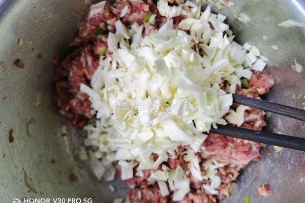 牛肉烧麦的做法图解5