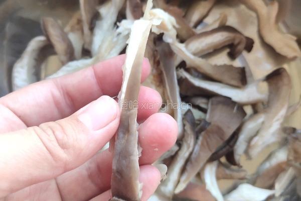平菇炒肉的做法图解3