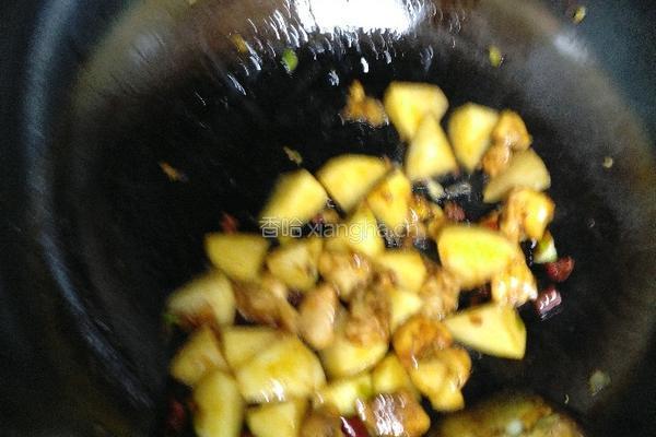 鸡腿炖土豆的做法图解8