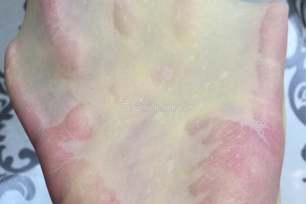 花朵豆沙面包的做法图解3