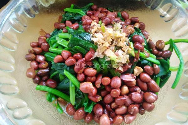 果仁菠菜的做法图解5