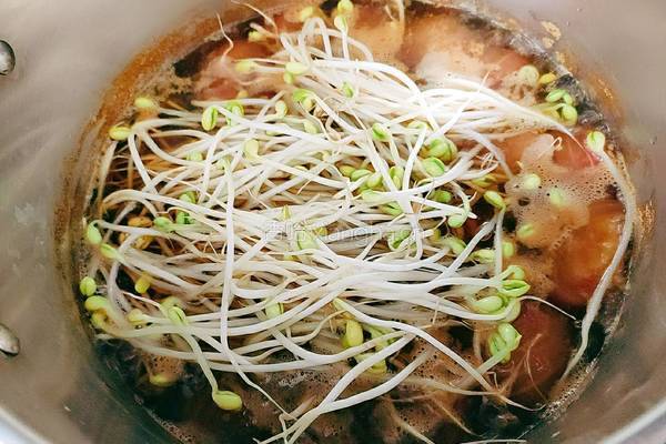 大脚菌豆芽牛腱汤的做法图解16