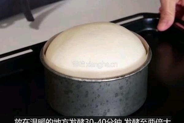 奶香黄油面包的做法图解9