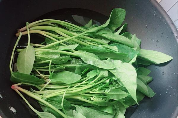 菠菜鸡蛋饼的做法图解1