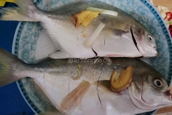 红烧金鲳鱼的做法图解3