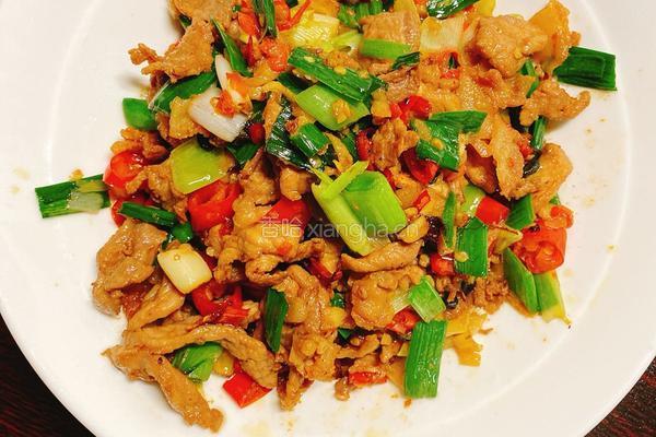 家常版湘菜肉炒肉的做法图解8
