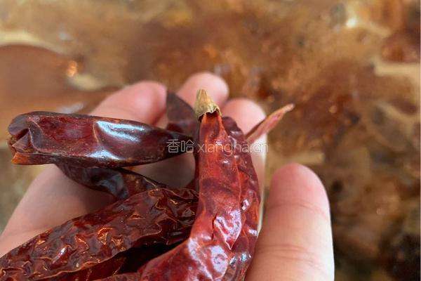 家常黄豆猪蹄的做法图解10