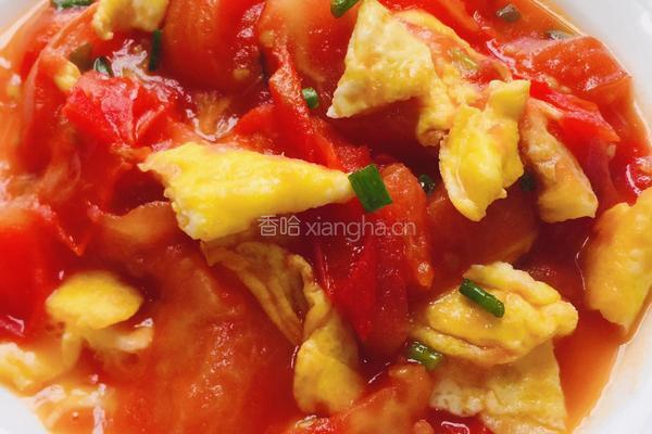 特色番茄炒蛋的做法图解4