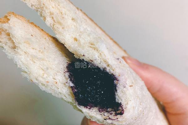 桑葚果酱的做法图解4