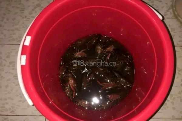 油焖大虾的做法图解1