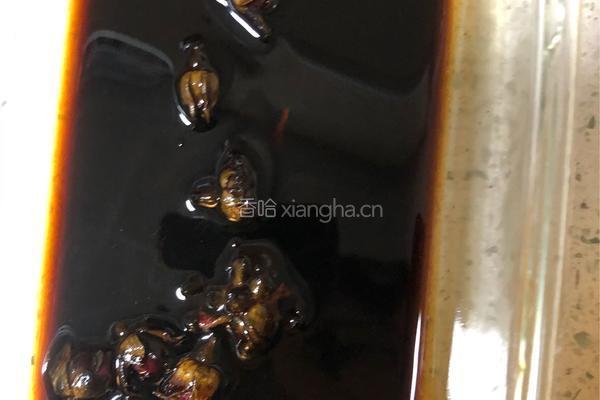 水果冰粉（火龙果，橙子）的做法图解17