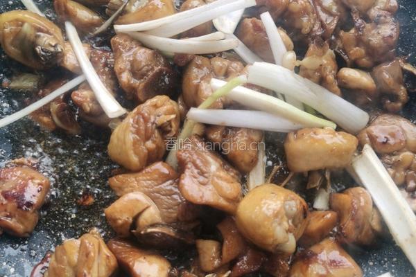 土豆炖鸡腿的做法图解6