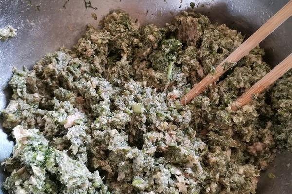 茴香饺子越吃越香的做法图解2