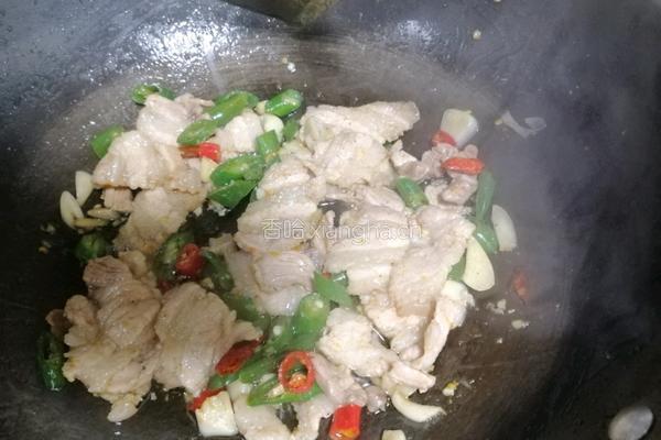 胡萝卜炒肉的做法图解2