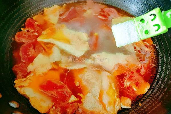番茄鸡蛋牛腩汤的做法图解13