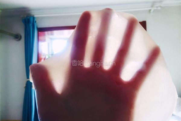 凉皮的做法图解13