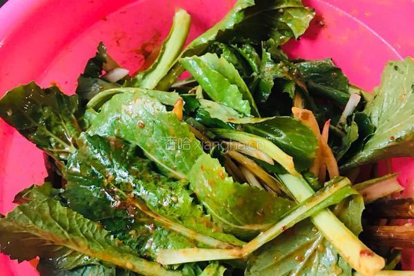 酱拌小白菜的做法图解8