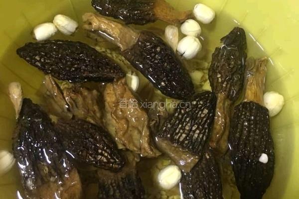 羊肚菌排骨汤的做法图解3