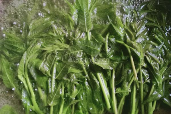 香椿芽煎蛋饼的做法图解3