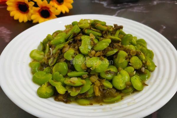 爆炒雪菜蚕豆瓣的做法图解8