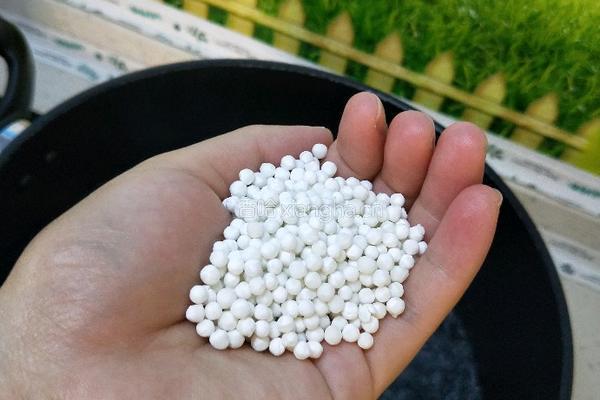 西米露水果捞的做法图解6
