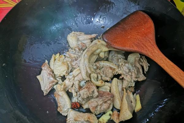 家常啤酒鸭的做法图解5
