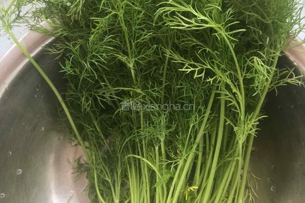 茴香蚕豆的做法图解1
