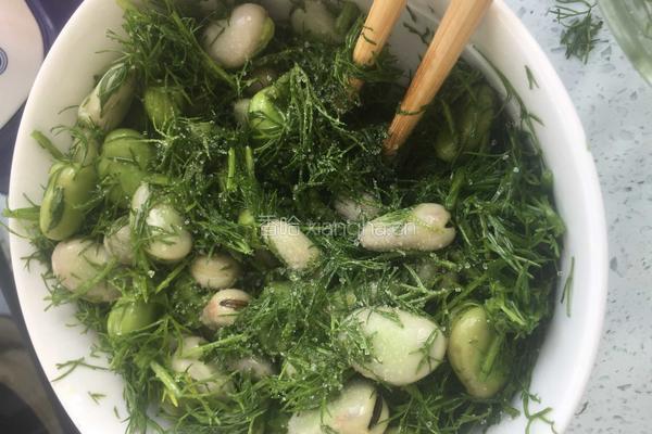 茴香蚕豆的做法图解10