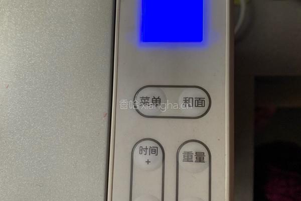 面包机椰蓉面包的做法图解5
