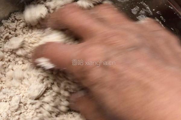粘高梁米面撒糕的做法图解3