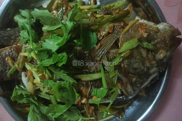 红烧罗非鱼
