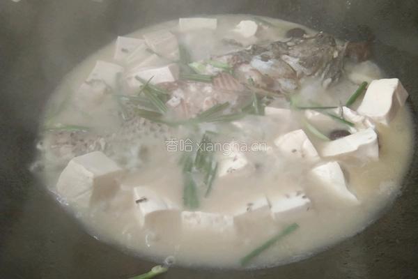 喝汤必喝的♥鲫鱼豆腐汤的做法图解7