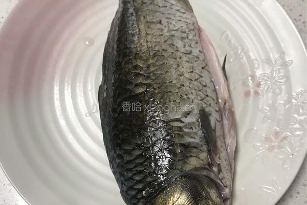 海带豆腐煲鲫鱼的做法图解1