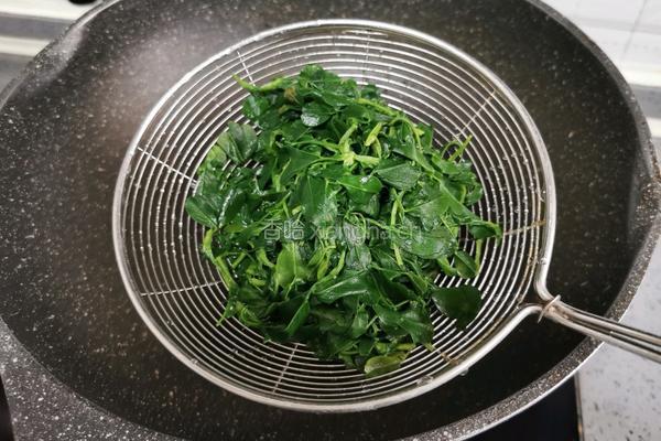 苜蓿菜窝窝头的做法图解1