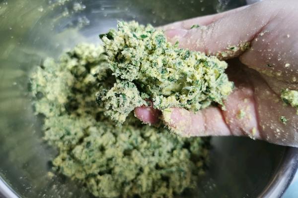 苜蓿菜窝窝头的做法图解7