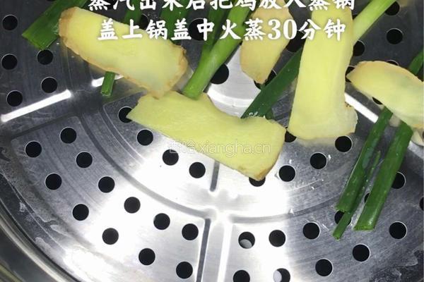 【家常版白切鸡】没有酱料的白切鸡是没有灵魂的的做法图解3