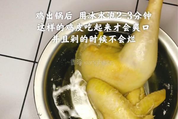 【家常版白切鸡】没有酱料的白切鸡是没有灵魂的的做法图解5