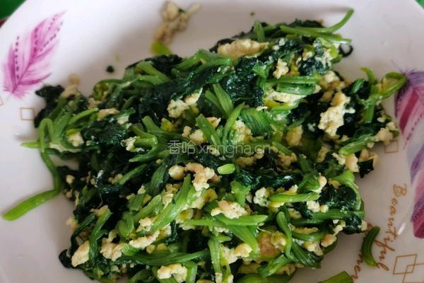 鸡蛋炒菠菜