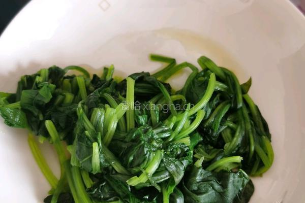 鸡蛋炒菠菜的做法图解2